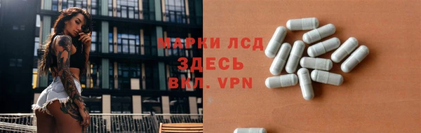эйфоретик Баксан
