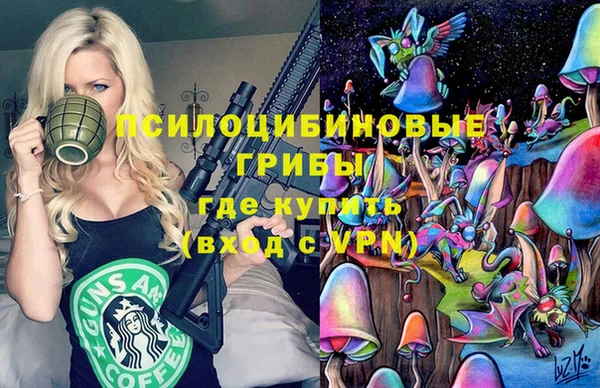 эйфоретик Баксан