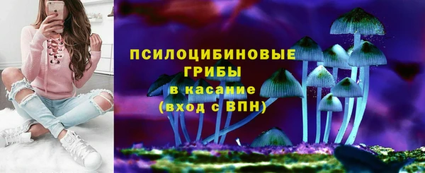 эйфоретик Баксан